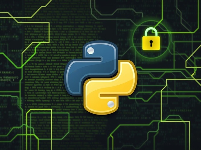 Learn Python & Ethical Hacking From Scratch